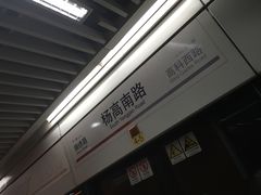 -杨高南路(地铁站)