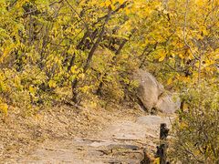 -云峰山自然风景区
