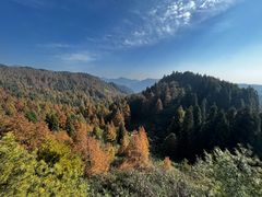 -山王坪喀斯特国家生态公园