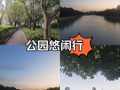 -白鹭洲公园
