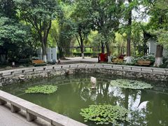 -红梅公园
