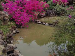 -盈香心动乐园