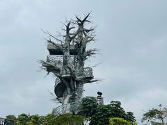-芒洲湿地公园