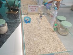 -万达广场(北京槐房店)