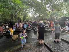 -成都市活水公园