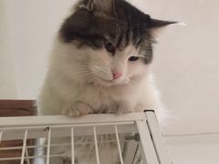 -小时光咖啡馆(北锣鼓巷店)