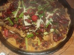 -老板恋上鱼(恒隆广场店)