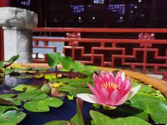 -惠山古镇·寄畅园