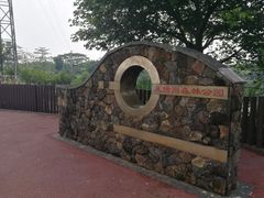 -王借岗森林公园