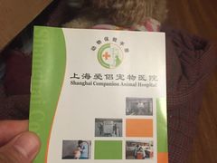 -爱侣宠医·鹦鹉专科·小型哺乳类·异宠专科(灵石路店)