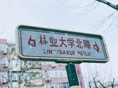 门面-双风车咖啡馆 Twin Windmills(六道口店)