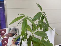 -雅悦齿科(顾村公园店)