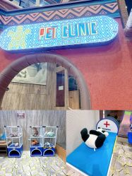 -卡通尼·Safari非洲探索乐园·生日会(金桥国际商业广场店)