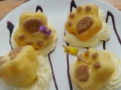 -喵屿·大理花园猫咖