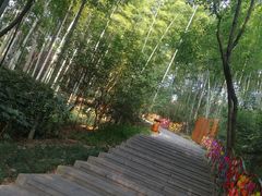 -天目湖山水园