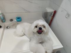 -爪爪喵星球·猫舍(前海卓越店)