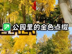 -郑和公园