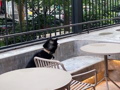 -大小咖啡 BigSmallCoffee(麦子店)