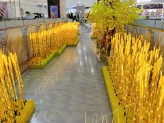 -巴黎春天(浦建店)