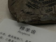-贵州省地质博物馆