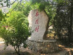 -北京凤凰岭