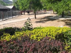 -石家庄市动物园