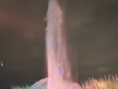 -秋水广场音乐喷泉