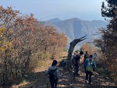 -东天目山风景区