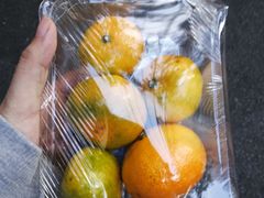 -百果园PAGODA(玄武成贤街店)