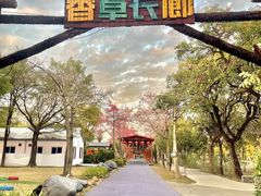 -广东花都香草世界旅游度假区
