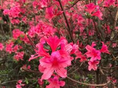 -木兰云雾山