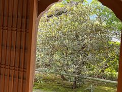 -三千院