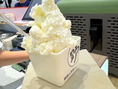 -野人先生现做冰淇淋(西安赛格店)