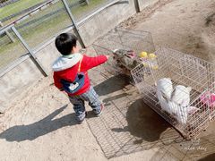 -前小桔亲子创意农场·草莓采摘·露营烧烤