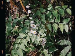 -宁波五龙潭景区