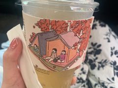 -茶颜悦色(黄花机场店)