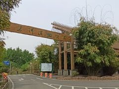 -桤木河湿地公园