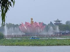 -白洋淀景区