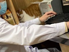 -瑞派名望24h动物医院异宠专科·猫专科·骨科·重症监护分院