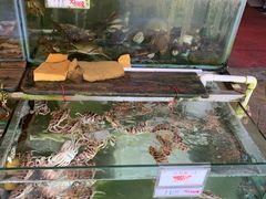 水产区-钱大妈海鲜饭店(保利林语店)