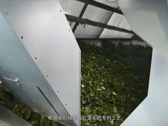 -斑马飞扬传媒·企业影视制作服务商(北京店)