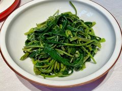 清炒空心菜-老湘亲·品鉴湘菜(蔡塘爱琴海店)