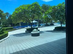 -蛇口希尔顿南海酒店·随轩中餐厅·粤菜