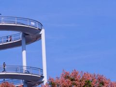 -仙岳公园