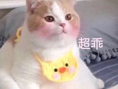 -荣粤酒家·融合粤菜
