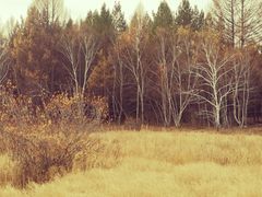 -塞罕坝国家级自然保护区