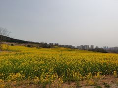 -西海岸生态观光园
