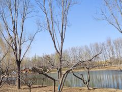 -东郊湿地公园