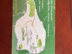 -上海佘山国家森林公园西佘山园