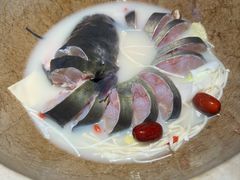 -老福耶小草帽石锅鱼(奥体店)